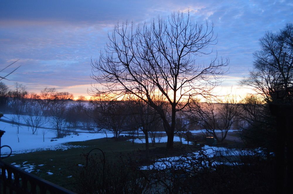 Rose Cottage Bed & Breakfast Fairplay Екстер'єр фото